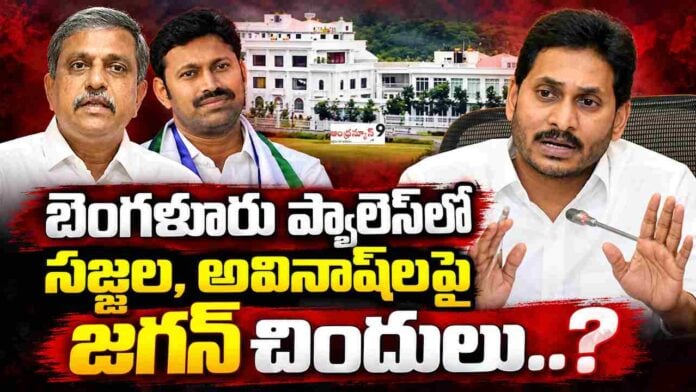 ys-jagan-fire-on-avinash-reddy-and-sajjala