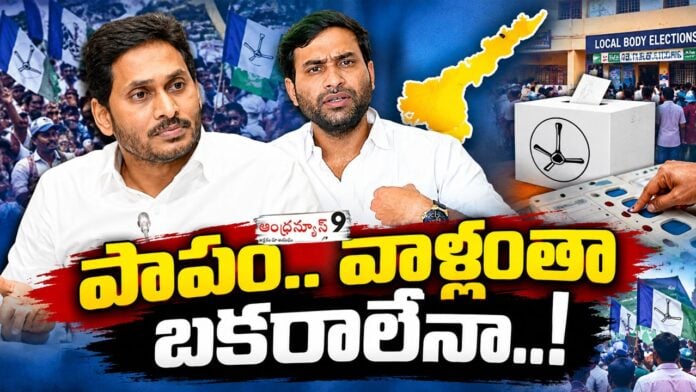 ysrcp mayor candidates list released